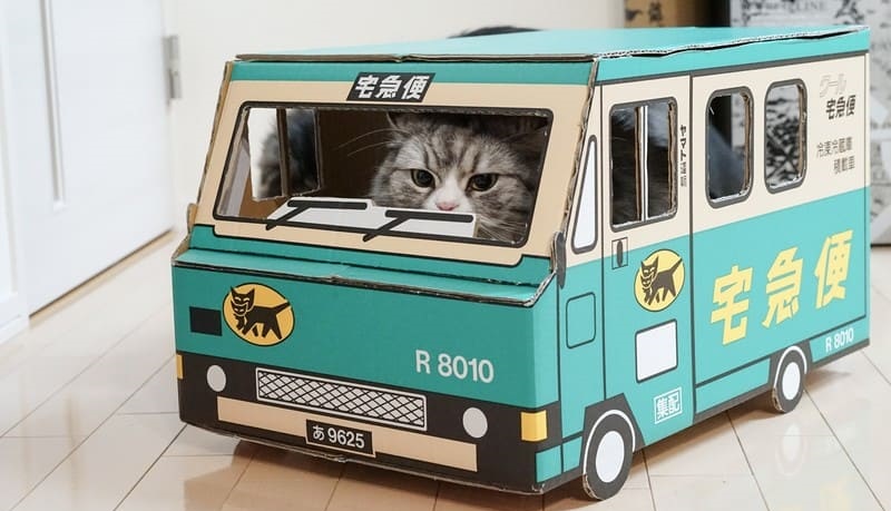 クロネコヤマトの車をイメージした箱に乗っている猫