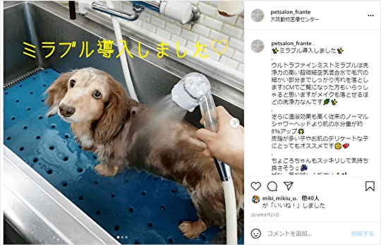 動物病院で犬がミラブルで洗われている